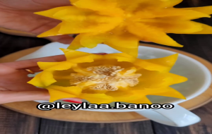 کلیپ سفره آرایی: تزیین فلفل دلمه ای (گل) کلیپ سفره آرایی: تزیین فلفل دلمه ای (گل)