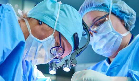 سلامت سلامت